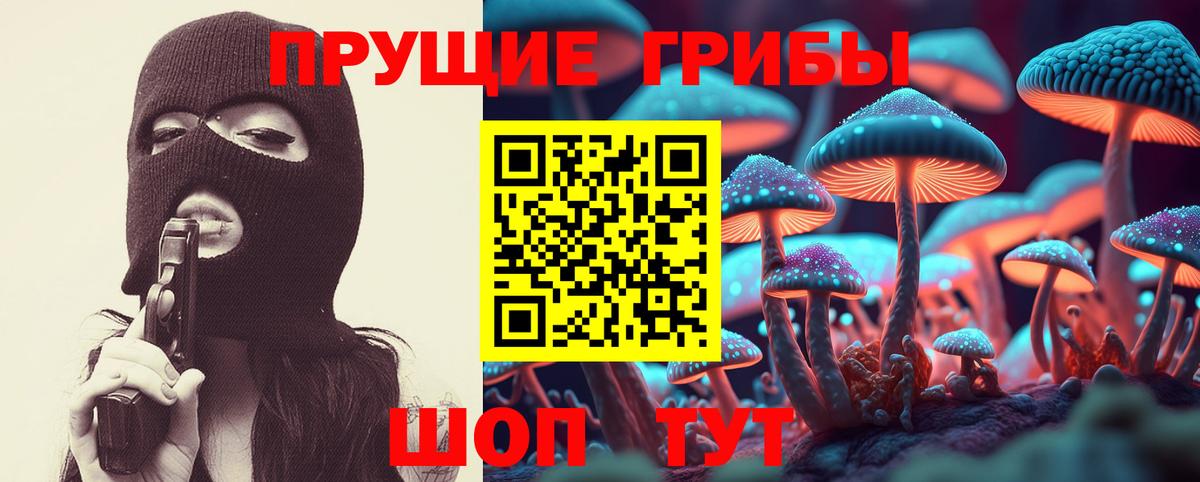 Псилоцибиновые грибы Psilocybine cubensis  Вход с VPN  хочу   Лесосибирск 